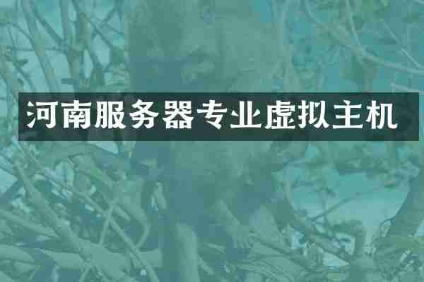 河南服务器专业虚拟主机