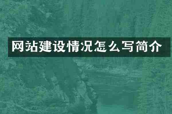 网站建设情况怎么写简介