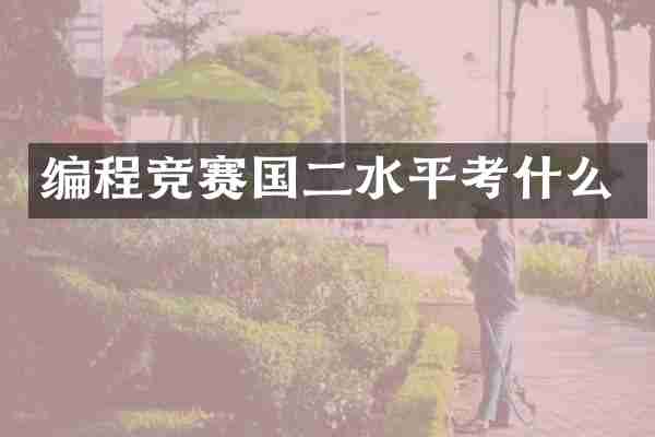 编程竞赛国二水平考什么