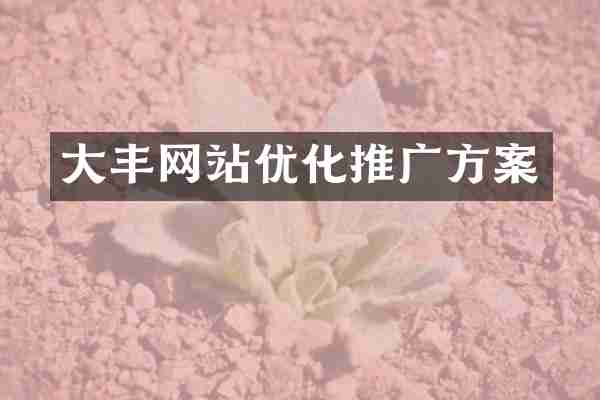 大丰网站优化推广方案