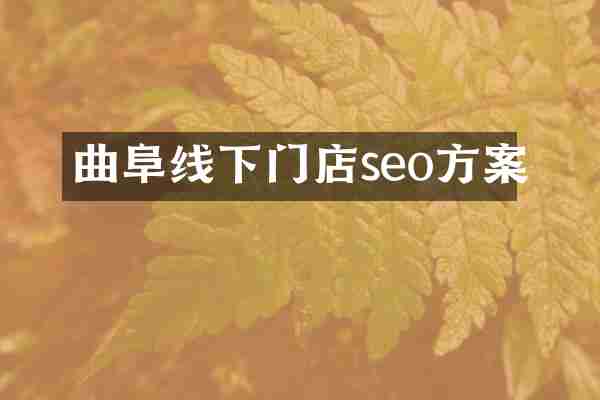 曲阜线下门店seo方案