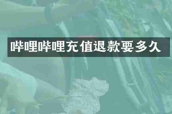 哔哩哔哩充值退款要多久