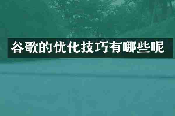 谷歌的优化技巧有哪些呢