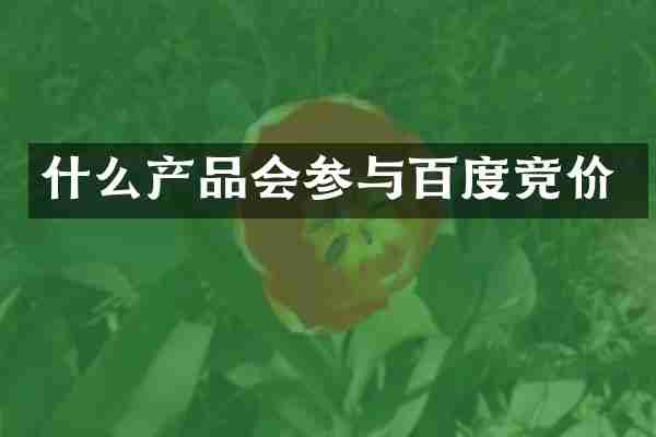 什么产品会参与百度竞价