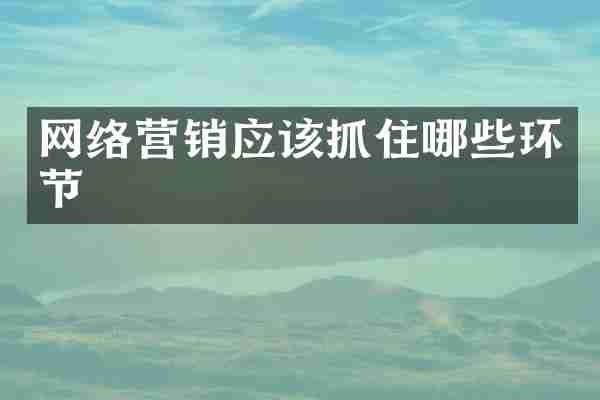 网络营销应该抓住哪些环节