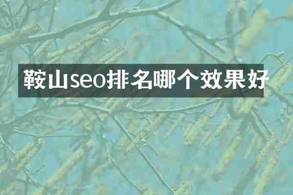 鞍山seo排名哪个效果好
