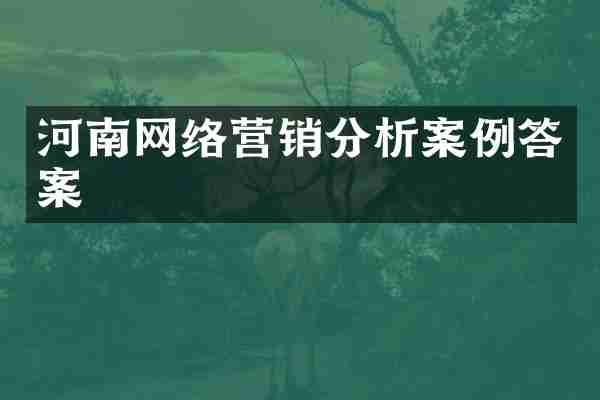 河南网络营销分析案例答案