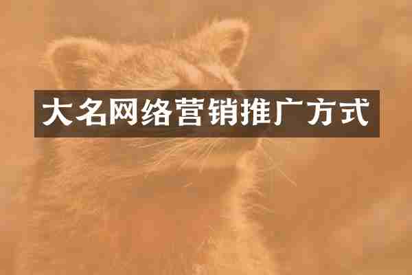 大名网络营销推广方式