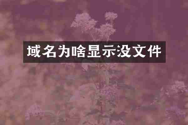 域名为啥显示没文件