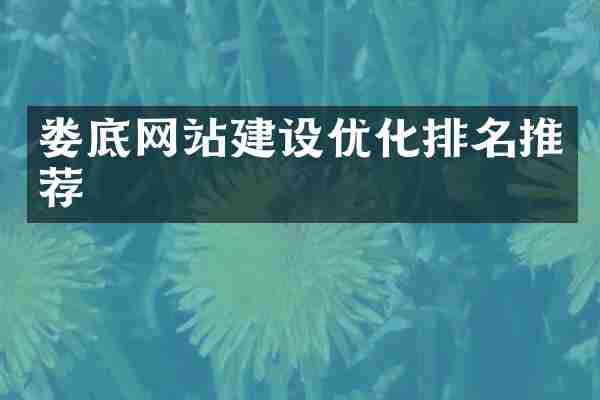 娄底网站建设优化排名推荐