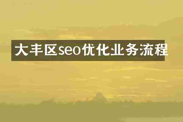 大丰区seo优化业务流程