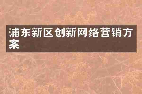 浦东新区创新网络营销方案