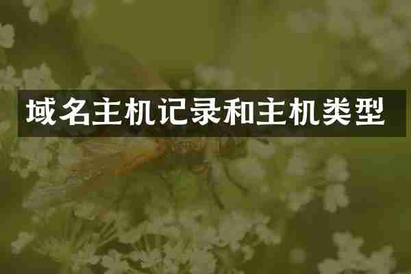 域名主机记录和主机类型