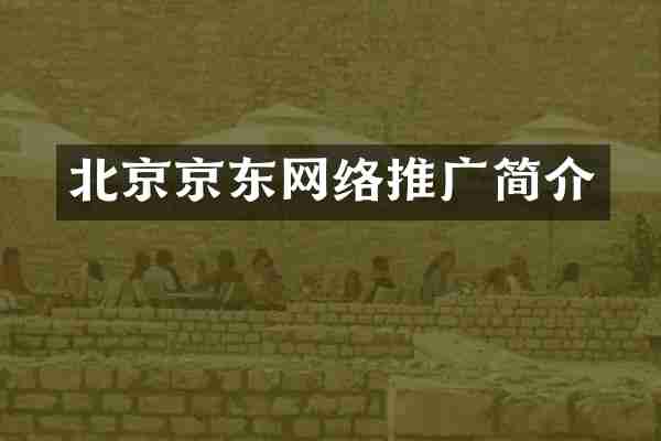 北京京东网络推广简介