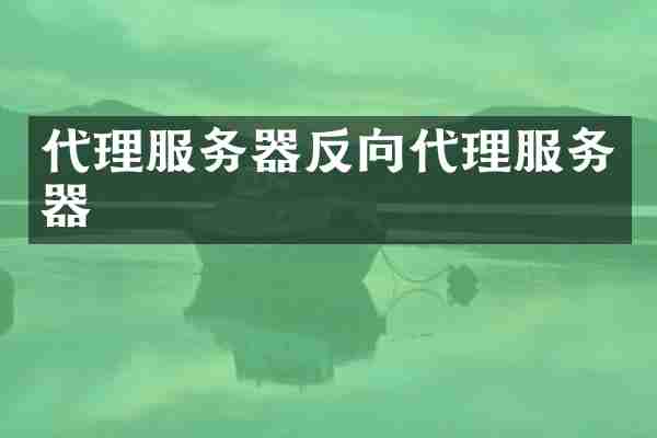 代理服务器反向代理服务器