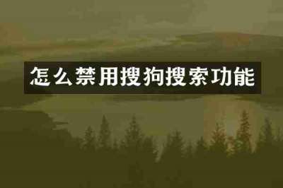 怎么禁用搜狗搜索功能