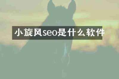 小旋风seo是什么软件