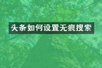 头条如何设置无痕搜索