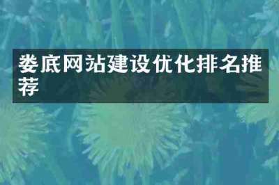 娄底网站建设优化排名推荐