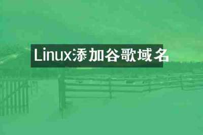 Linux添加谷歌域名