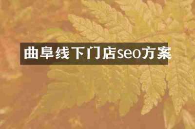 曲阜线下门店seo方案