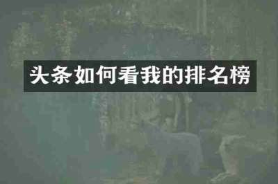 头条如何看我的排名榜
