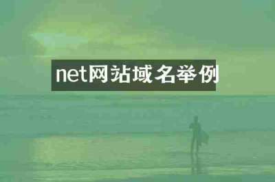 net网站域名举例