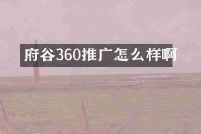 府谷360推广怎么样啊