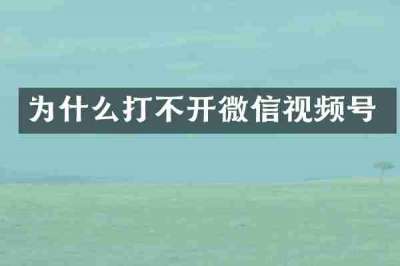 为什么打不开微信视频号