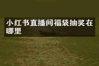 小红书直播间福袋抽奖在哪里