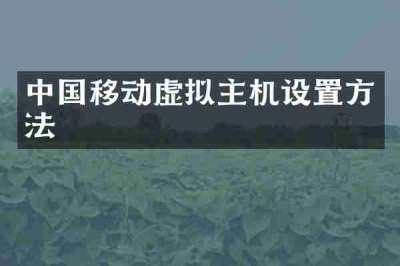 中国移动虚拟主机设置方法