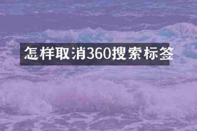 怎样取消360搜索标签