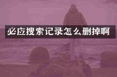 必应搜索记录怎么删掉啊