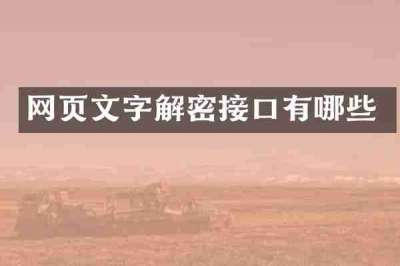 网页文字解密接口有哪些