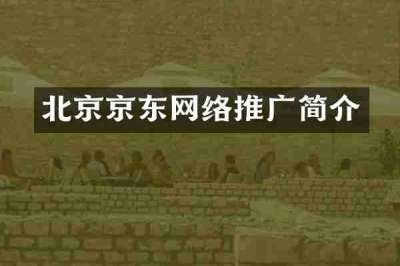 北京京东网络推广简介