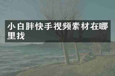 小白胖快手视频素材在哪里找