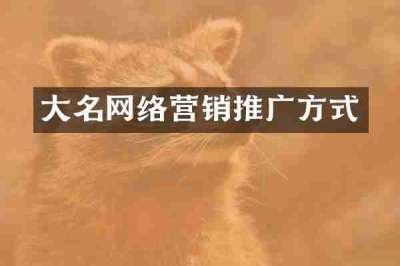大名网络营销推广方式