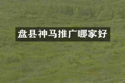 盘县神马推广哪家好