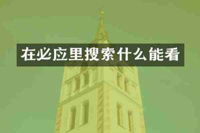 在必应里搜索什么能看