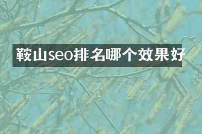鞍山seo排名哪个效果好