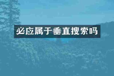 必应属于垂直搜索吗