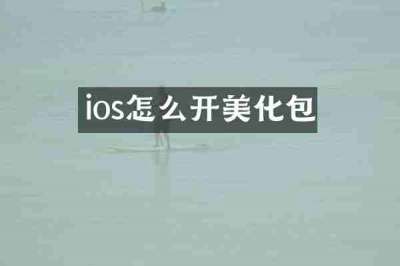 ios怎么开美化包