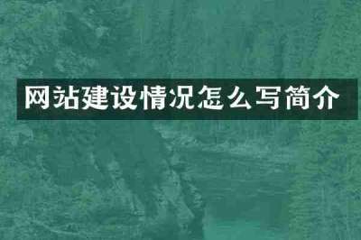 网站建设情况怎么写简介