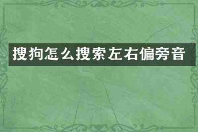 搜狗怎么搜索左右偏旁音