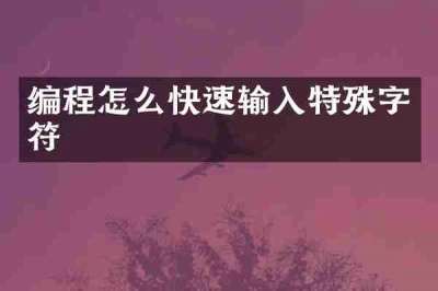 编程怎么快速输入特殊字符