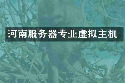 河南服务器专业虚拟主机