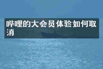 哔哩的大会员体验如何取消