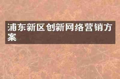 浦东新区创新网络营销方案