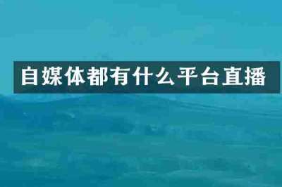 自媒体都有什么平台直播