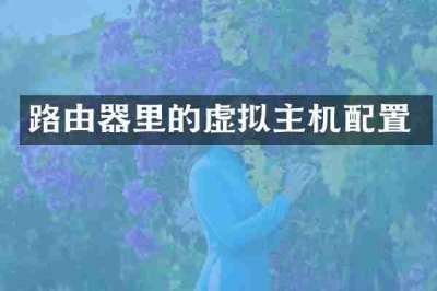 路由器里的虚拟主机配置